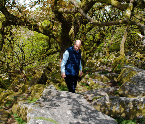 2016 Dartmoor, Wistman's Wood